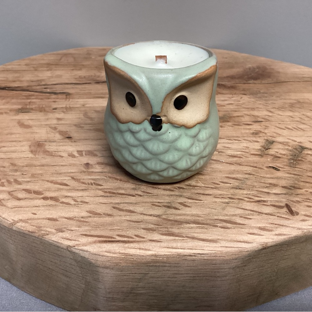 🟢 Owl Wood Wick Candle - Repurposed Planter - Gingerbread Vanilla Scent Unique